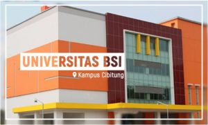 Cara Daftar Beasiswa KIP-Kuliah di Universitas BSI Cibitung, 2021/2022