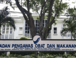 Apa Itu BPOM dan Perannya dalam Pengawasan Obat dan Makanan