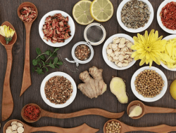 Cara Memilih Obat Herbal yang Aman untuk Kesehatan