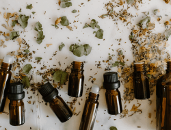 Minyak Kayu Putih Bukan Sekadar Hangat, Ini Manfaat Lainnya untuk Kesehatan Keluarga