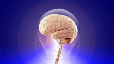 brain-rot