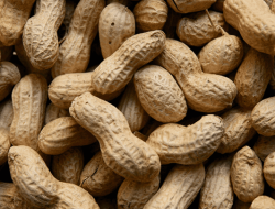 Sering Makan Kacang Bikin Jerawatan? Mitos Atau Fakta?