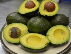 Bisa Redakan Asam Lambung? Ini Fakta tentang Alpukat untuk Lambung Sehat