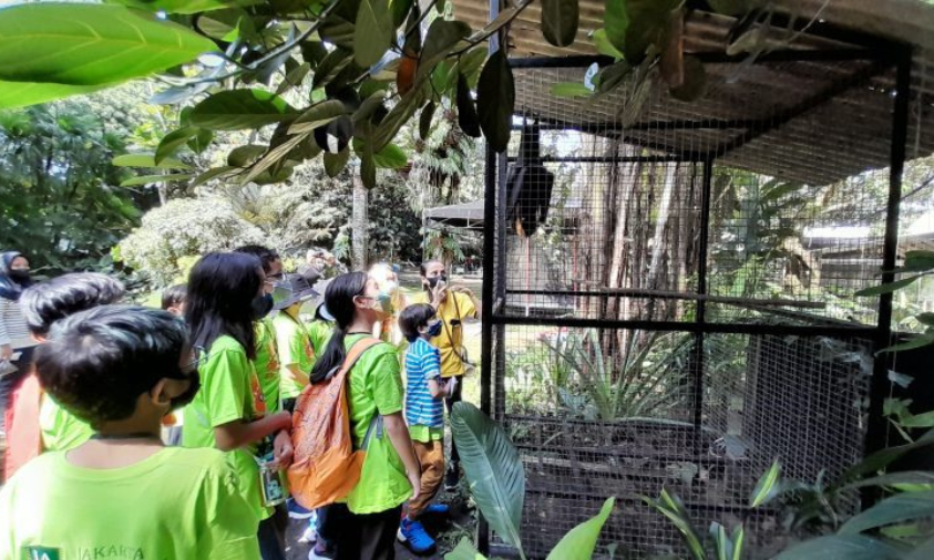 homeschooling international di bali